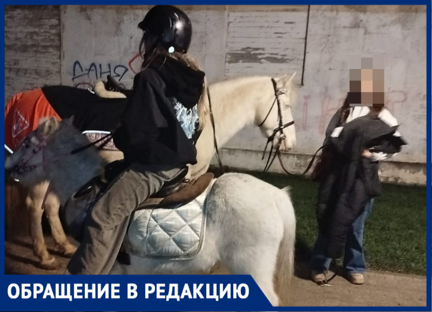 В стихийное пастбище для пони превратили Гимназический сквер школьницы