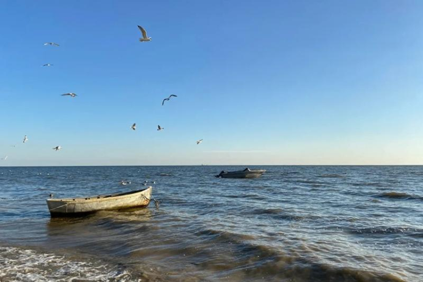 Соли станет меньше: Таганрогский залив не превратится в Чёрное море к 2050 году
