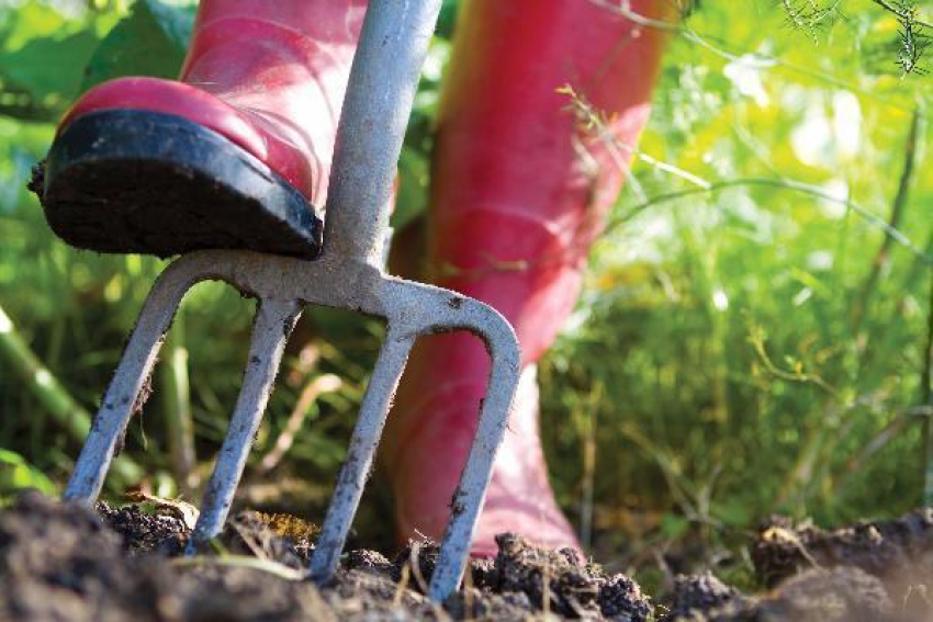 Вооруженный вилами пожилой мужчина напал на обидчика в Таганроге