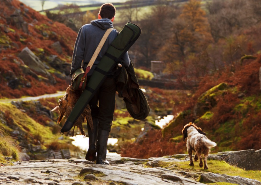 На Дону открывается сезон охоты: когда идти на норку с куницей, а когда - на гусей с утками