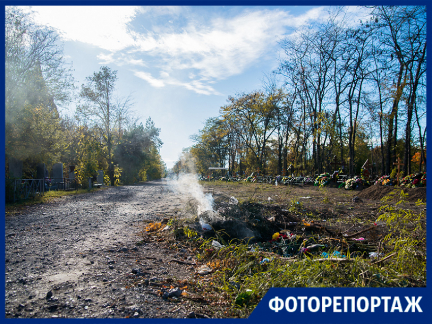 На Николаевском кладбище в Таганроге рубят деревья, говорят по закону