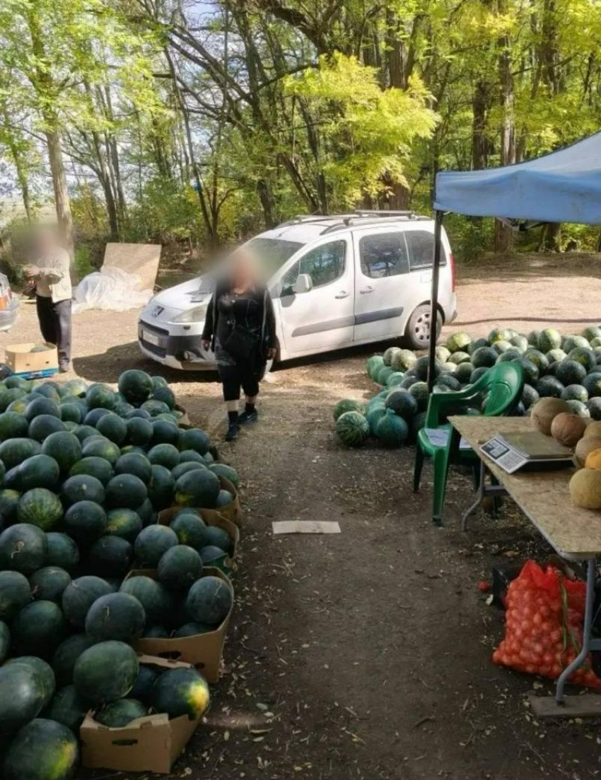 Зачистка продолжается: очередных нелегальных торговцев накрыли в Таганроге