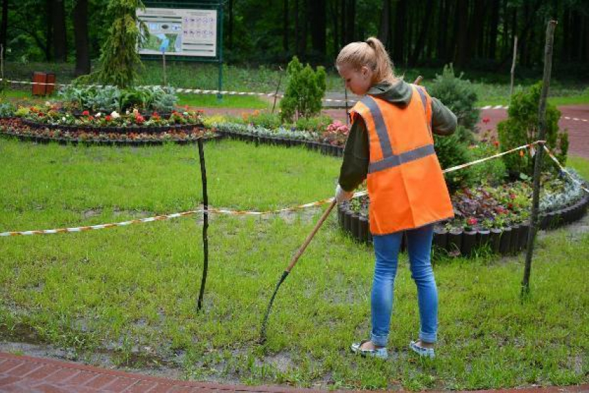 Ростовская область потратит 26 миллионов рублей на организацию подростковой занятости