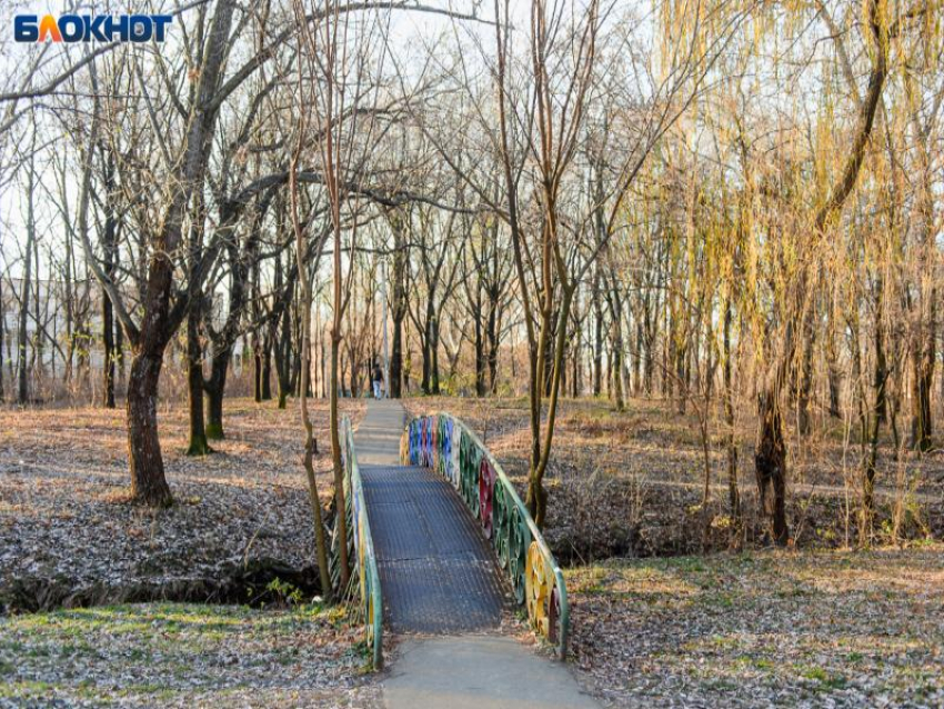 Тепло и мало осадков: синоптики поделились прогнозом погоды на неделю