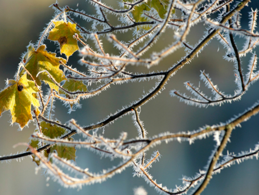 В Таганроге ожидается похолодание