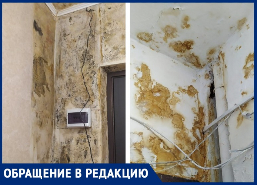 Плесень в таганрогских квартирах: трения с УК продолжаются