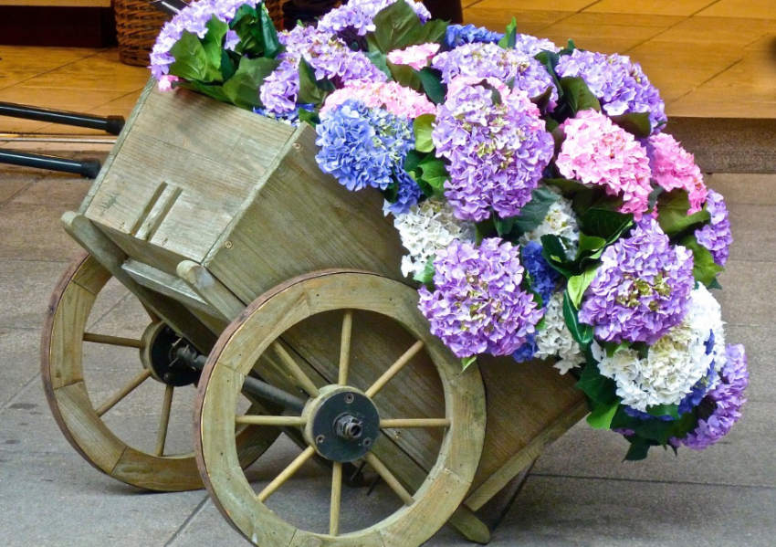 "Стыдоба!": тонны цветов везут на продажу в Таганрог через материки и океаны