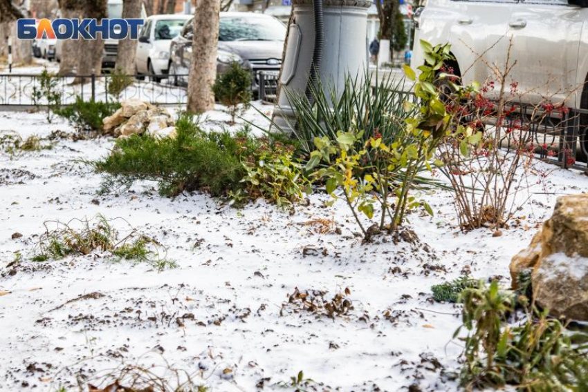 Будет ли снег на Новый год в Таганроге? Прогнозы синоптиков пока разнятся