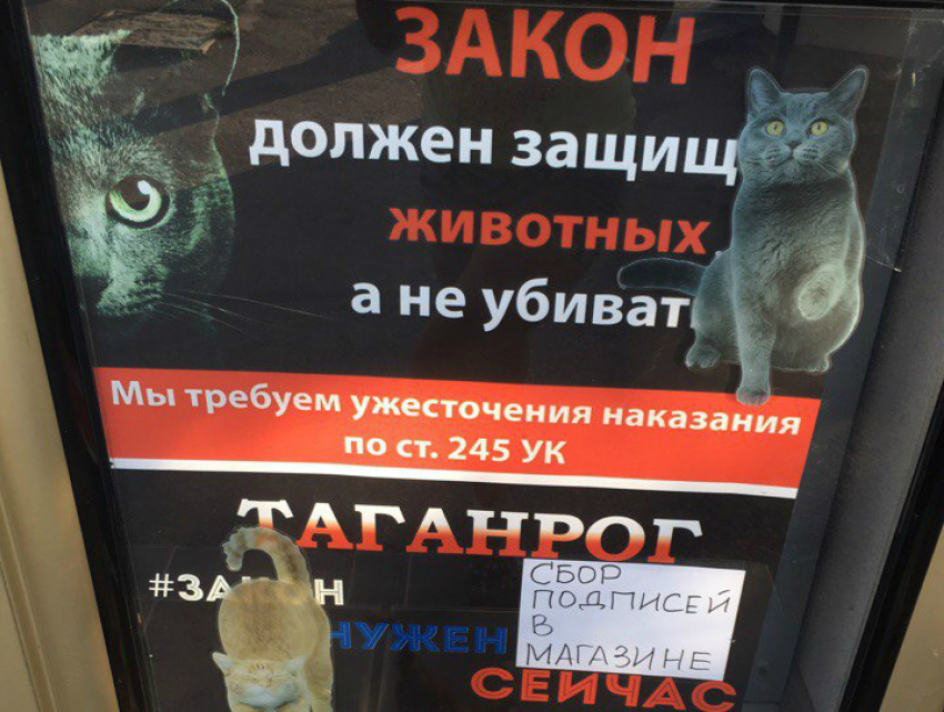 В Таганроге собирают подписи под коллективным обращением к Путину