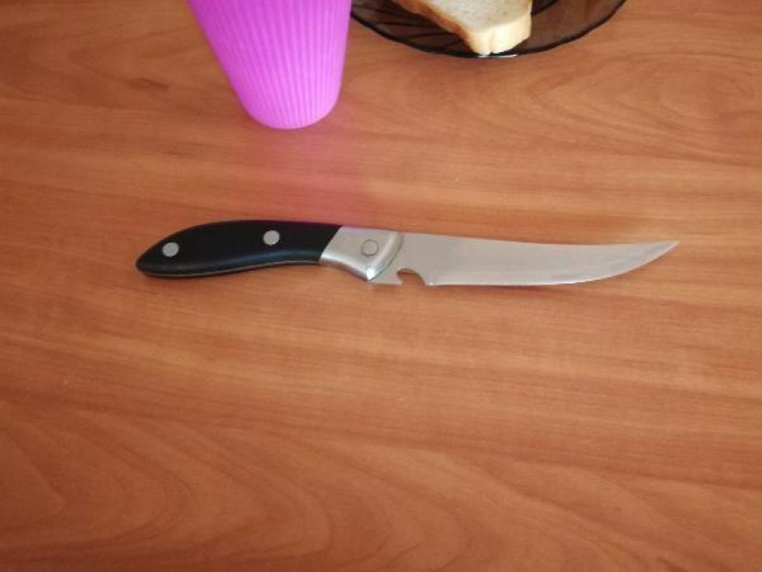 Под Таганрогом мать изрезала дочь кухонным ножом