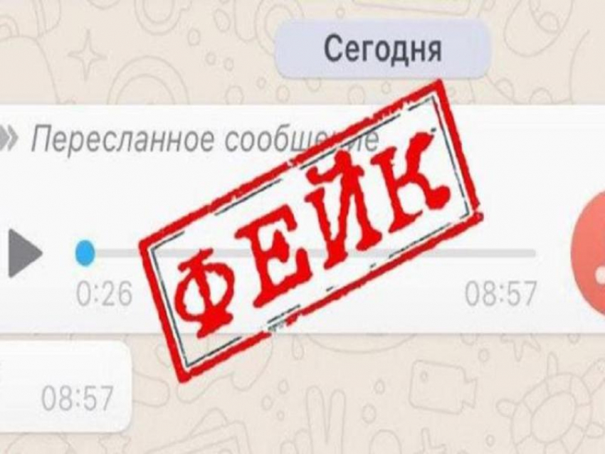 "Верю - не верю": таганрожцев забросали  фейками о новых «школьных» выплатах во время локдауна