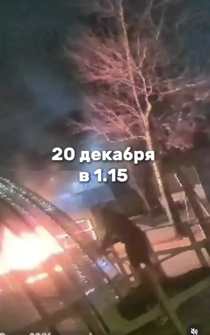 В Таганроге неизвестные подожгли иглу-парк 