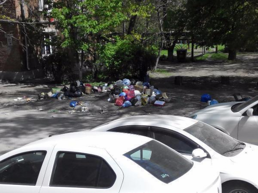 Жители Таганрога ждут от неравнодушных горожан уборки своей свалки