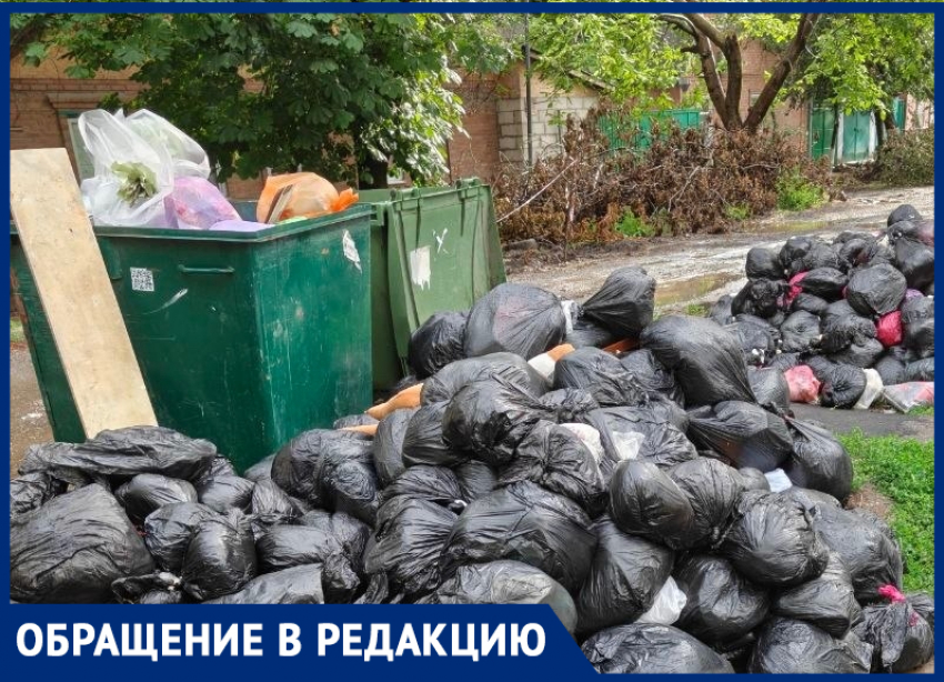 "Свиноты какие-то": таганроженка в шоке от стихийной свалки во дворе на Западном