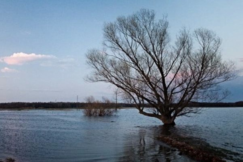Шквалистый ветер обеспечит нагон воды к прибрежным районам Таганрога