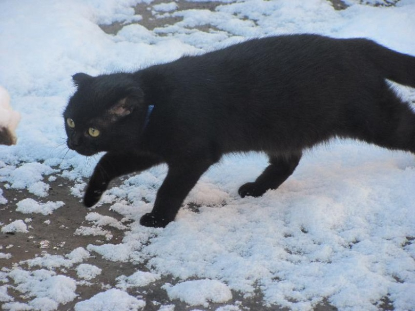 Никаких отмазок: глава города обязала работать УК все праздники, но таганрожцы этому не верят