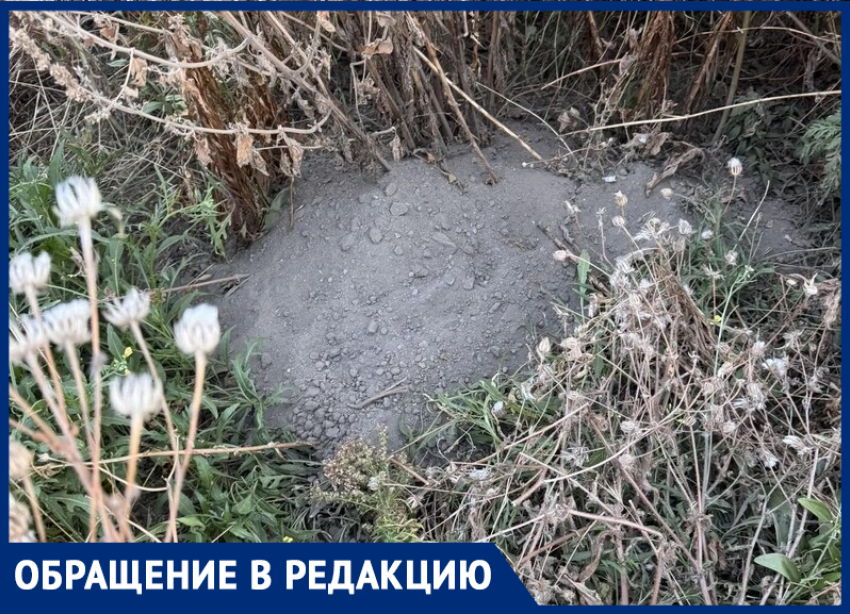 "А куда ещё": сотрудники «Таганрогского трамвая» засыпали палисадник ядовитым мусором и обматерили жителей