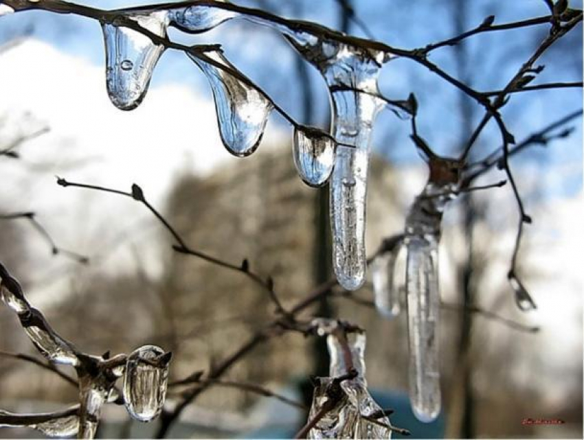 Погода в Таганроге на предстоящую неделю: будет малооблачно и по весеннему тепло 