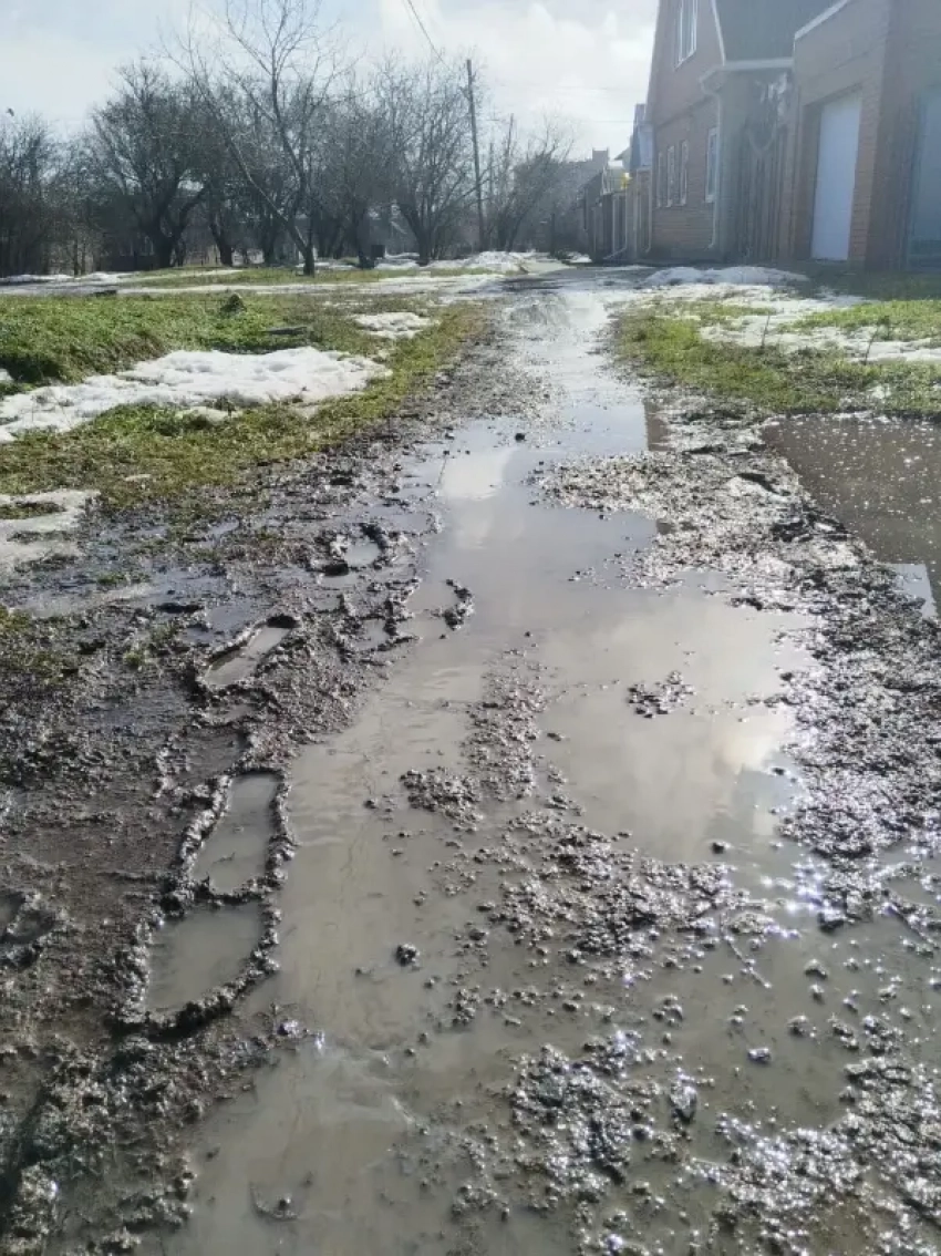 "Куда ты, тропинка, меня завела": таганроженка показала болото вместо тротуаров на Северном