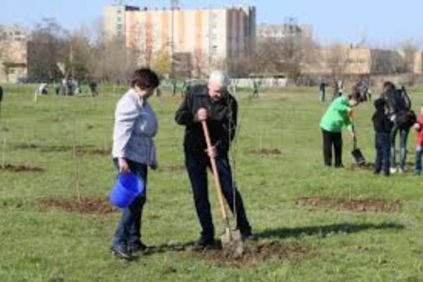 2000 голосов отделяет Таганрог от получения заветной «Аллеи Славы»