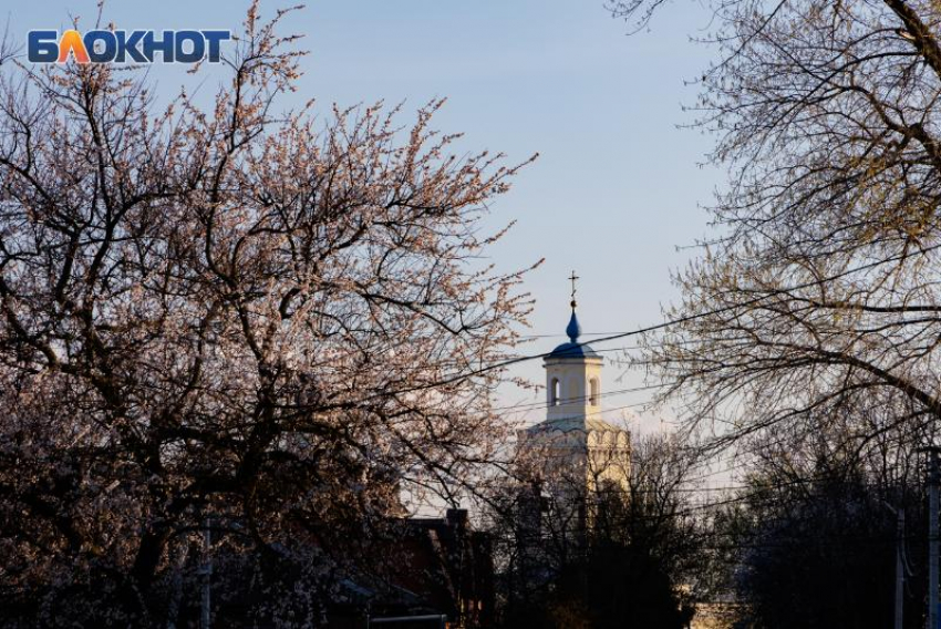 Весна берёт своё: в Таганроге после дождливого апреля ожидается потепление до +20°C