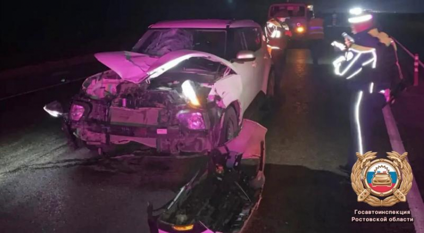 Женщина погибла под колёсами машины на ночной трассе под Таганрогом