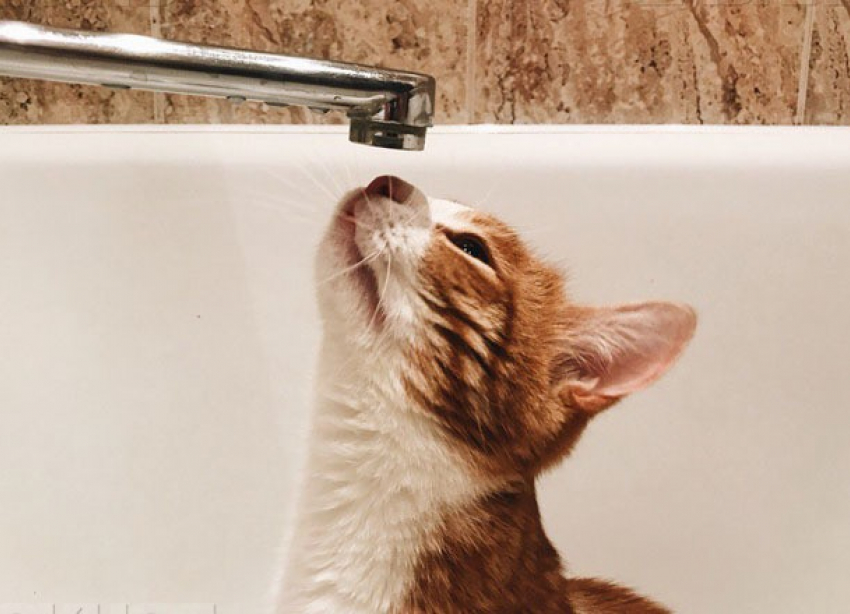 Два района Таганрога временно ограничены в водоснабжении