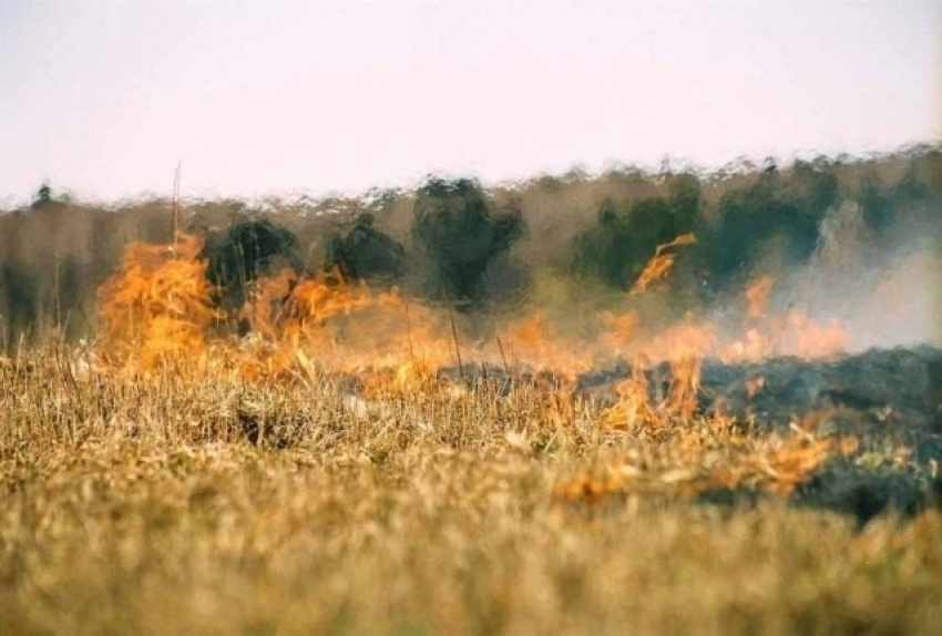 Жителей Таганрога предупреждают о высокой пожароопасности