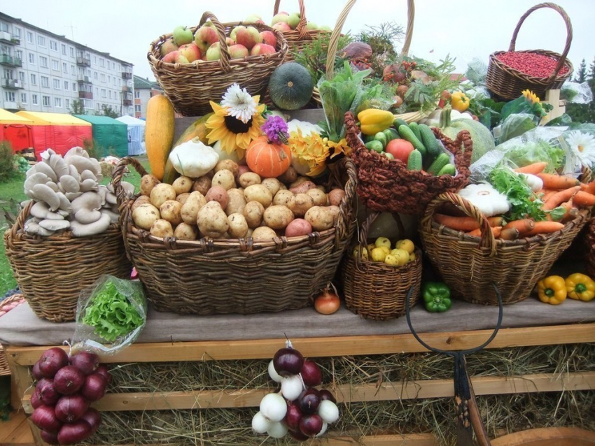  В Ростовской области готовятся к большой ярмарке сельхозпроизводителей