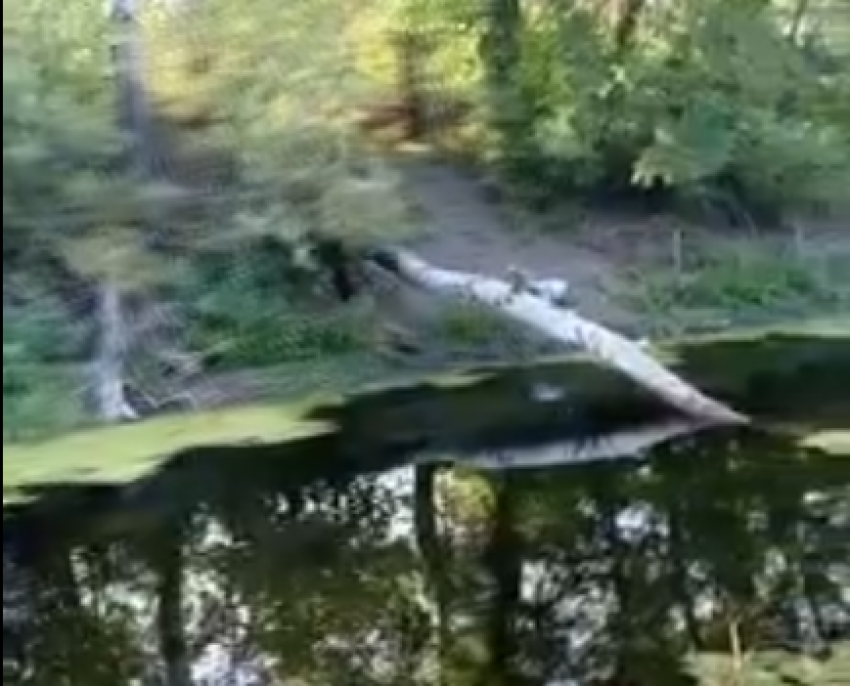 "Наши реки губит равнодушие» - таганрожец, купивший дом у Миуса рассказал о проблемах