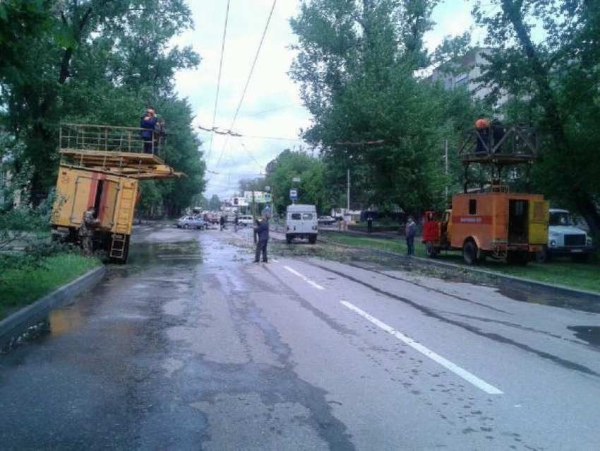 Падение дерева на трамвайную остановку в Таганроге попало на видео