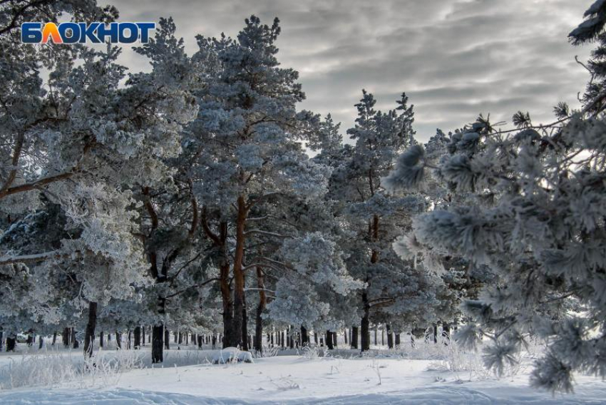 Метель, ледостав и крещенские морозы: что ждёт Таганрог в ближайшие дни
