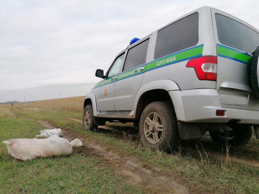 Под Таганрогом задержали браконьеров, которые оказывали сопротивление 