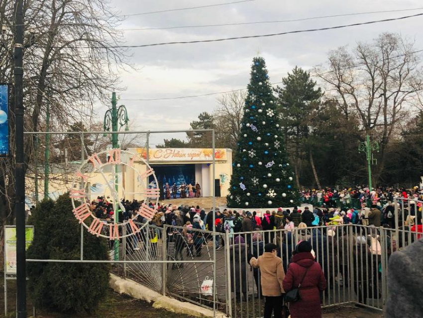 В Таганроге открылась главная елка города