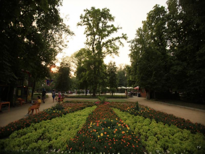 В Таганроге идет своим чередом  озеленение улиц и парков