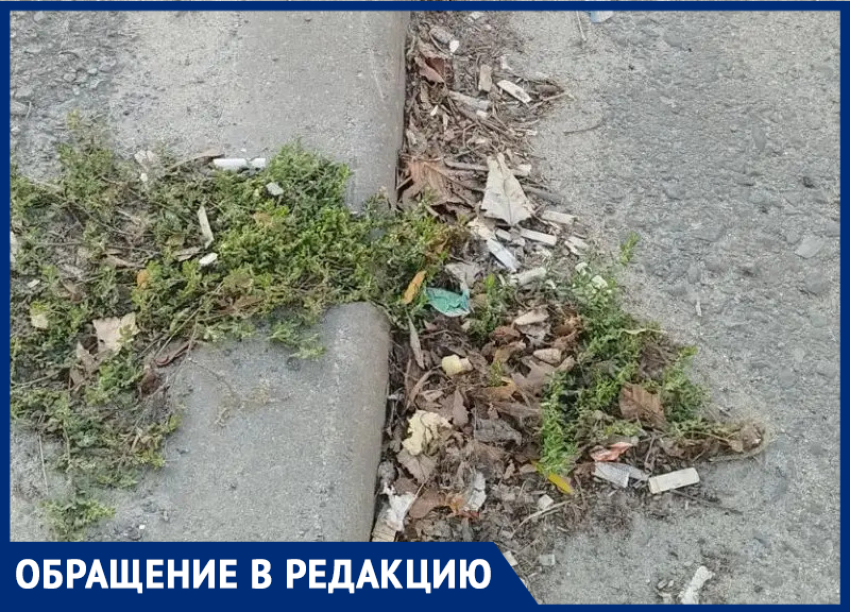 Отродясь такого свинства не было: исторический Таганрог снова тонет в современном мусоре