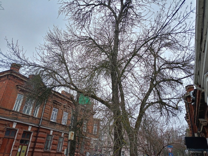 В Таганроге — затишье перед дождем: погода на выходные 