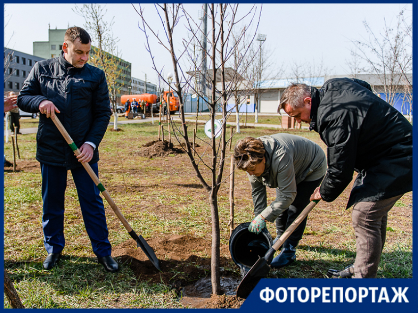 «Сад памяти» появился в Таганроге
