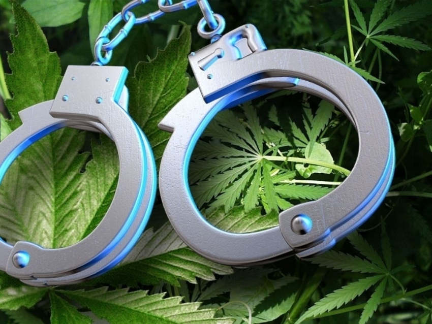 В Ростовской области  полиция задержала гражданина, подозреваемого в незаконном хранении марихуаны