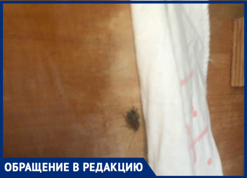 В таганрогском детском саду каждое утро начинается со встречи с тараканами