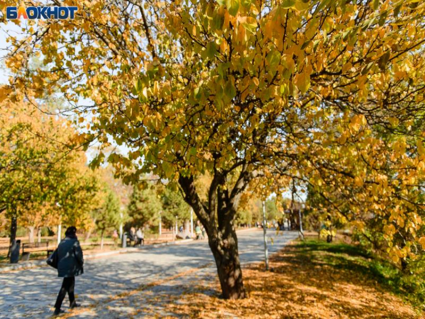 Ждать ли снега? О погоде в Таганроге на новую неделю