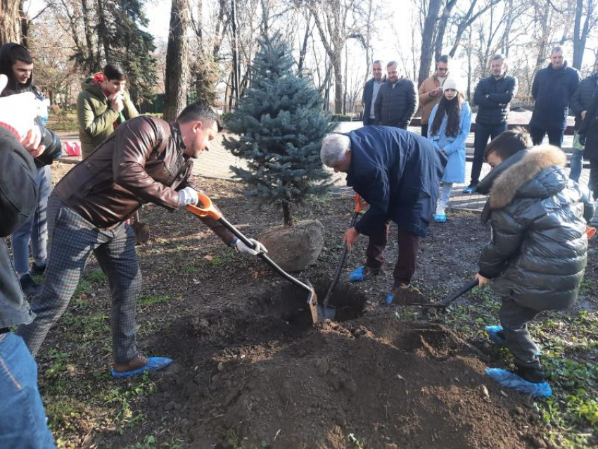 Связь поколений: «СТК-Таганрог» подарили парку культуры им. Горького новые деревья