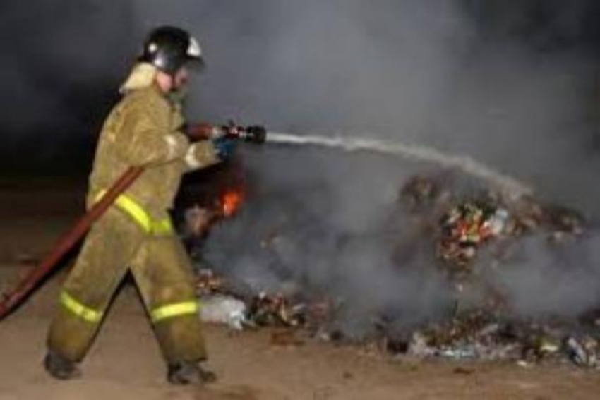 В Таганроге появились поджигатели мусора
