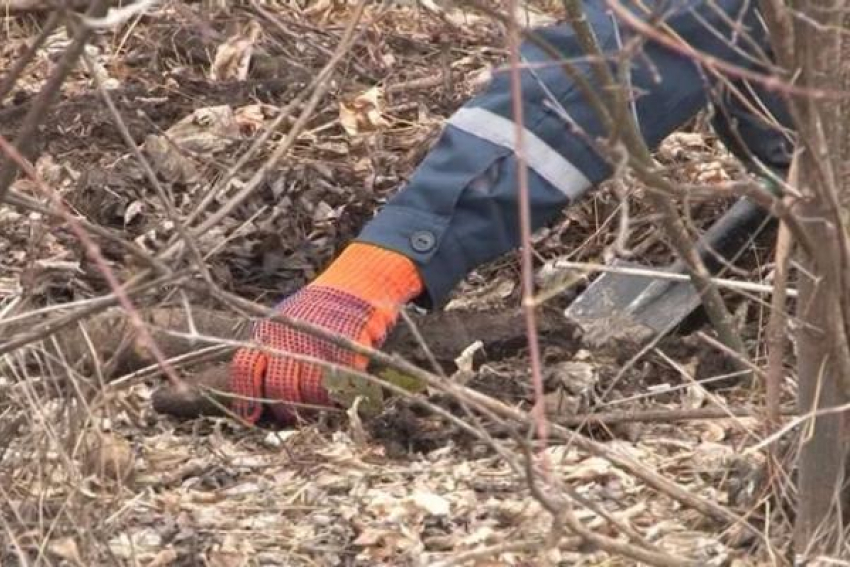 Со стройки под Таганрогом экстренно эвакуировали рабочих