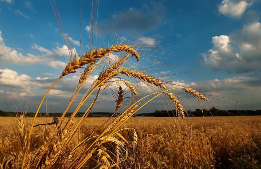 В Таганроге на предстоящей рабочей неделе будет и похолодание, и жара