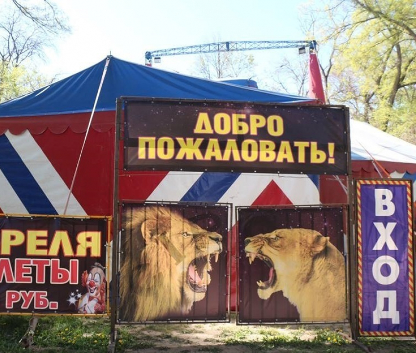 Приехавший в Таганрог цирк сливает нечистоты прямо в парк 