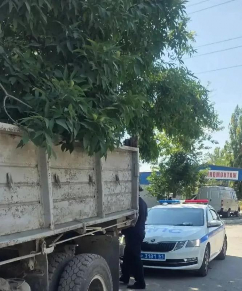 В Таганроге продолжается облава на старые ЗИЛы и Жигули