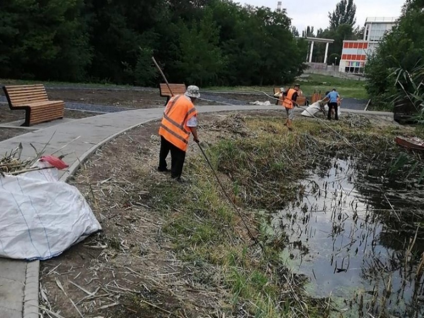 Таганрогская роща «Дубки» продолжает преображаться