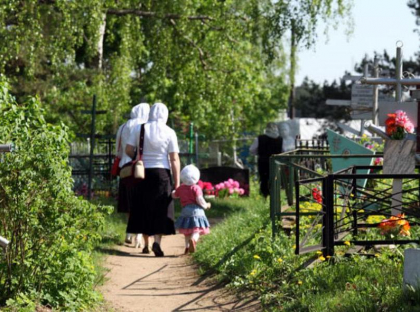 Можно ходить на кладбище днем. Поминки на кладбище. Поминают на кладбище. Поминовение усопших на кладбище. Посиделки на кладбище.