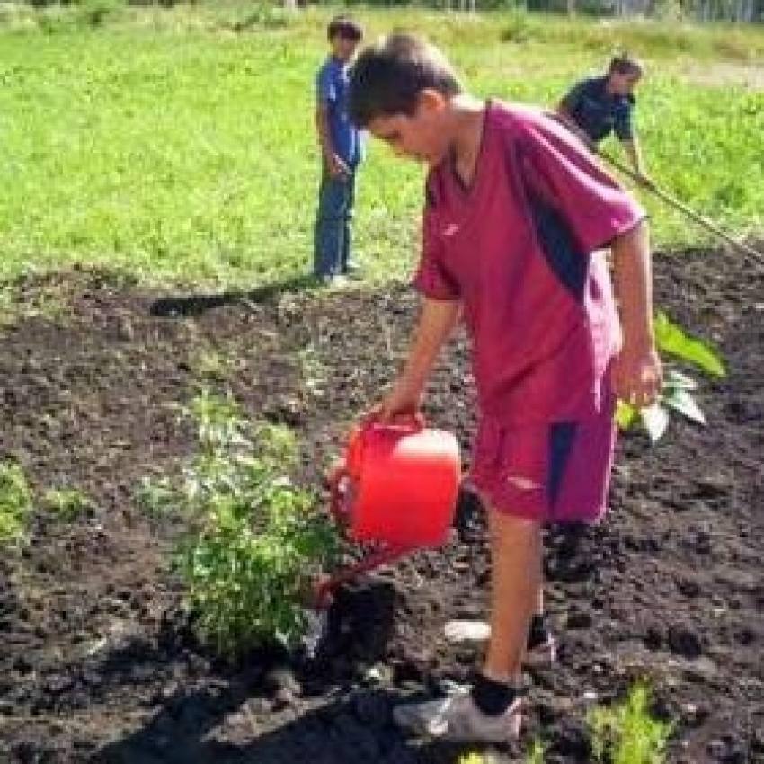 Подростки Таганрога заработают на уборке в парках и на набережной